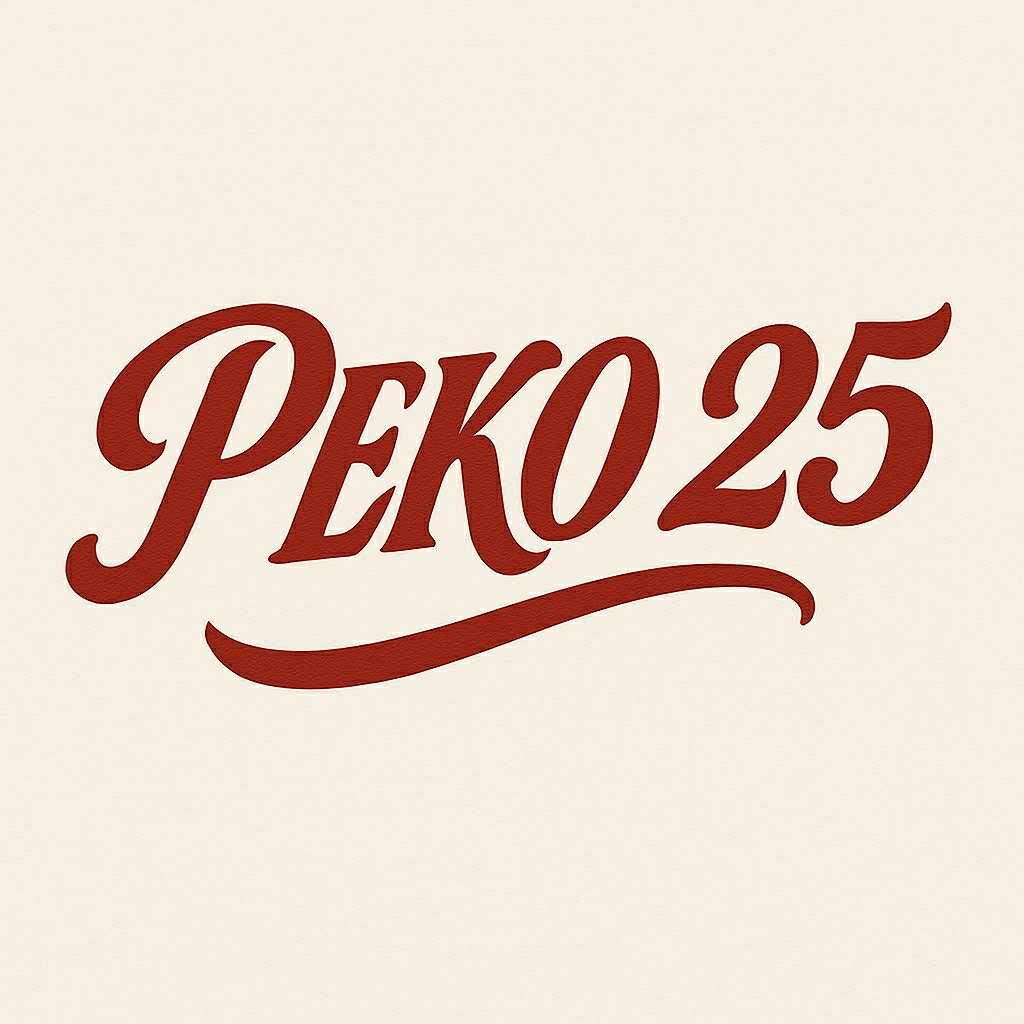 Реко25 лого